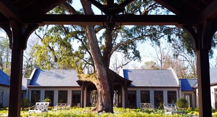 historic garden must see in Charleston sc th eLEndhardt Garden at Drayton Halll